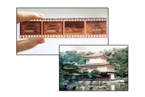 Got Film?