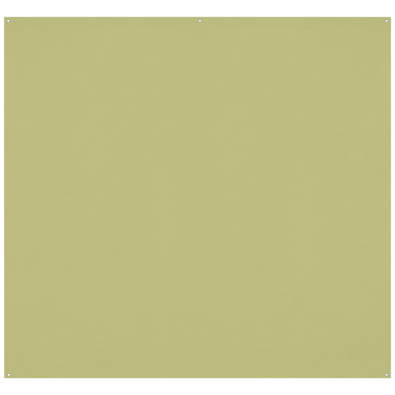 WESTCOTT X-Drop Pro Wrinkle-Resist Backdrop - Light Moss Green (8'x8')