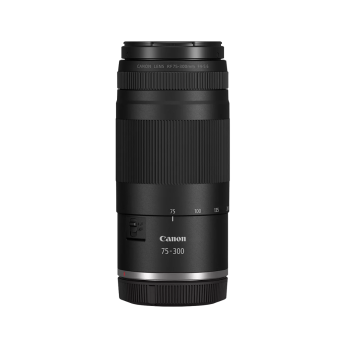 Dodd Camera - CANON 55-250mm f4-5.6 IS STM Lens | STM