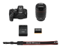 Canon EOS R6 Mark III with RF 24-105mm f/4 L USM Lens