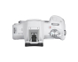 CANON EOS R50 Mirrorless Camera Body - White