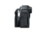 CANON EOS R8 Mirrorless Camera Body Only
