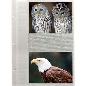 PIONEER 57APS Refill Pages for APS247 & PAP247 Albums