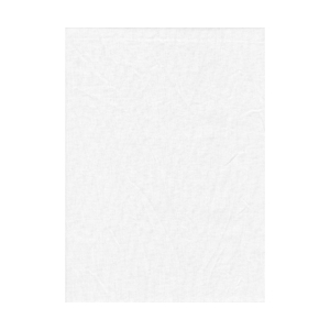 ProMaster Muslin background 10'x12' White