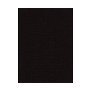 ProMaster Muslin background 10'x20' Black