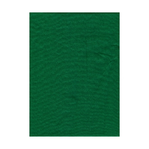 ProMaster Muslin background 10'x20' Chromakey Green