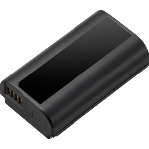 PANASONIC DMWBLJ31 Li-Ion Battery for S1/S1R/S1H