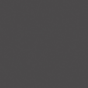 ROSCO Polarizing Filter 17"x20" Sheet