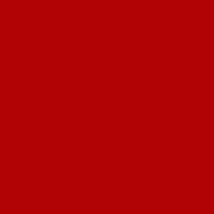 ROSCO Light Red 20"x24"