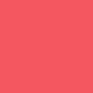 ROSCO Medium Salmon Pink 20"x24"
