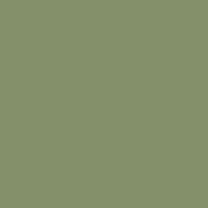 ROSCO Tough 1/2 Plusgreen 20"x24" Fluorescent Light Filter