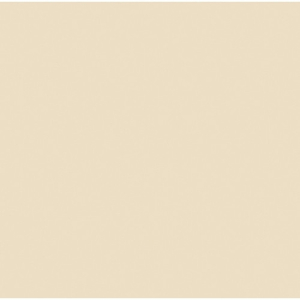 ROSCO Amber RoscoSun 1/4 CTO 20"x24" daylight conversion filter