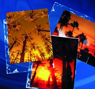CLEARFILE Print Pages 25 pack Holds 2 8"x10"