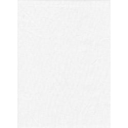 ProMaster Muslin background 10'x12' White