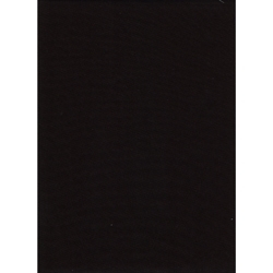 ProMaster Muslin background 10'x20' Black