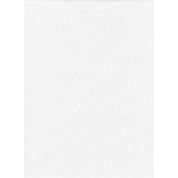ProMaster Muslin background 10'x20' White