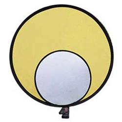 ProMastro Reflecta Disc 12" Silver / Gold