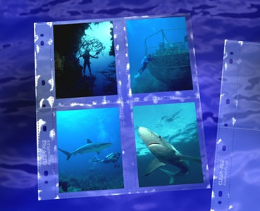 CLEARFILE Print Pages 25 pack Holds 8 - 3.5"x5"