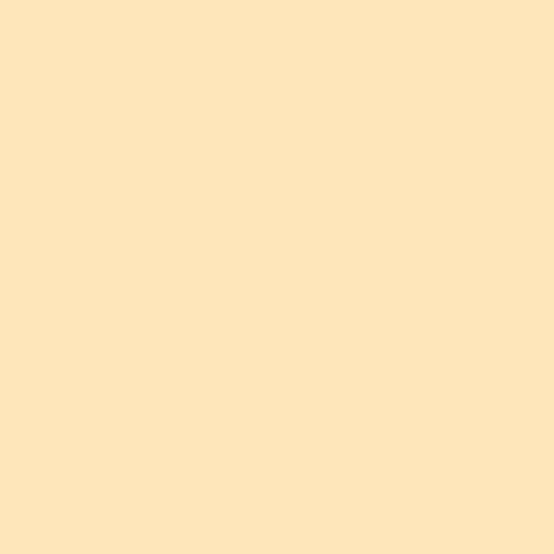 ROSCO Pale Yellow 20"x24"
