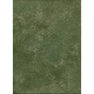 ProMaster Muslin background 10'x12' Green
