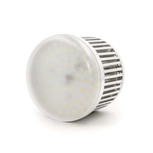 ProMaster Professional LED Studio Lamp - 45W/5600K E27