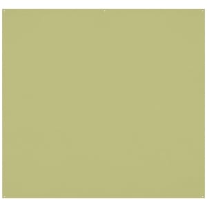 WESTCOTT X-Drop Pro Wrinkle-Resist Backdrop - Light Moss Green (8'x8')