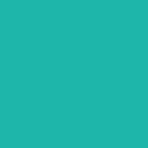 ROSCO Turquoise 20"x24"