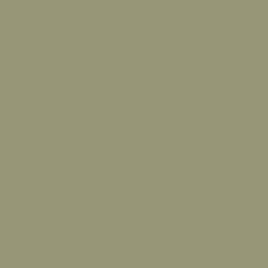 ROSCO Tough 1/4 Plusgreen 20"x24" Fluorescent Light Filter