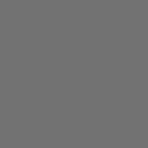 ROSCO N.3  20"x24" ND Filter reduces light intensity 1 stop