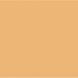 ROSCO Amber RoscoSun 3/4 CTO 20"x24" daylight conversion filter