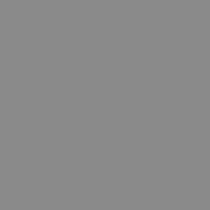 ROSCO N.15 20"x24" ND Filter reduces light intensity 1/2 stop
