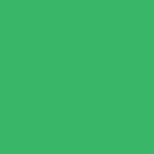 ROSCO Chroma Green 20"x24"