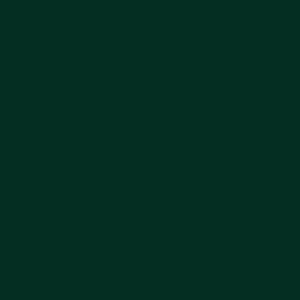 ROSCO Primary Green 20"x24"