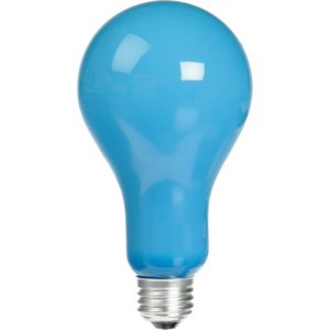 EBW  B2 Photoflood Daylight 500w