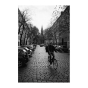 CineStill Film BwXX 135-36 roll