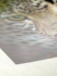 HAHNEMUHLE Bamboo 290GSM 13" x 19" - 25 Sheets