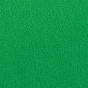 PHOTO BASICS 9'x10' Background Digital Green Screen Chromakey