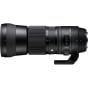 SIGMA 150-600mm f5-6.3 APO DG OS HSM Lens for Nikon    Contemporary