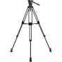 BENRO BV6 PRO Tripod Kit
