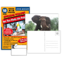 Photo Postcard 4x6 - 15 Pack