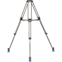 BENRO C673TM Dual Stage 75mm Bowl CF Tripod
