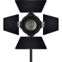 APUTURE LS-Mini 20 Flight Kit (DDD) w/o Stands 3 Light Kit / 3 Daylight