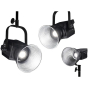 NANLITE Forza 300 LED Monolight #CLEARANCE