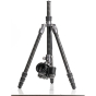 BENRO Rhino Carbon Fiber Two Series Tripod w/ VX25 Ball Head