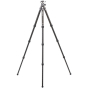 BENRO Tortoise Columnless Carbon Two Series Tripod w/ GX30 Head