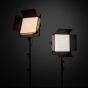 GODOX LED1000Bi II 2-Light Kit #CLEARANCE