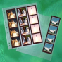 CLEARFILE Neg. Pages 100 pack 12 6x6 3 strips vertically