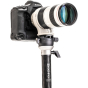BENRO MSDPL46C Monopod incl.Panning & Leveling Platform w. Leg Base