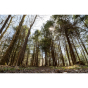 SIGMA 16-28mm F2.8 DG DN Lens (Sony E Mount)