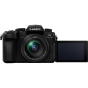 PANASONIC Lumix G95 Mirrorless Camera (OLED) w/ 12-60mm
